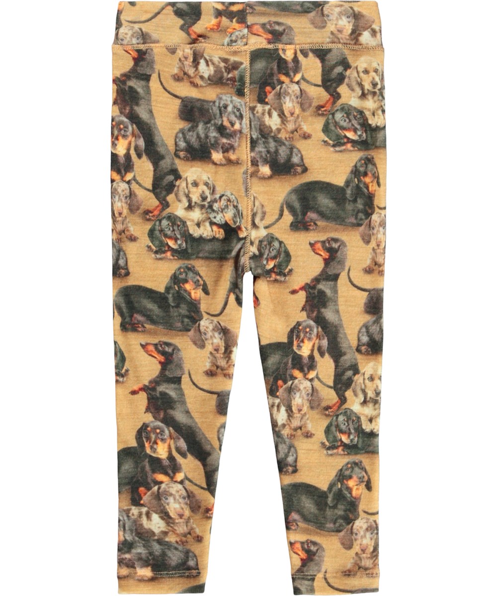 Sting Wool - Dachshunds - Bruna leggings för baby i merinoull med taxmönster.