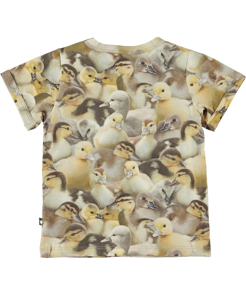 Easy - Ducklings - Ekologisk baby t-shirt med Ankungar.