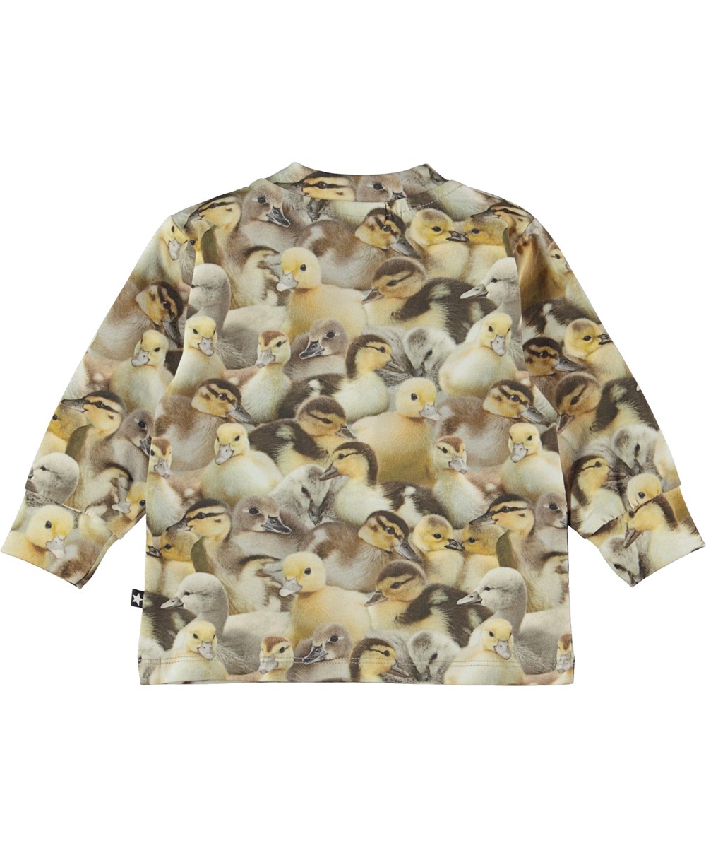Eloy - Ducklings - Babytröja med ankungar.