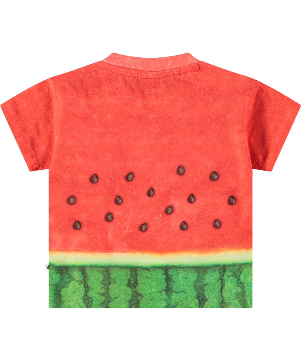 Enzo - Be A Melon - Klassisk ekologisk bomullst-shirt för baby. T-shirten har en vattenmelontryck i grönt och rött.