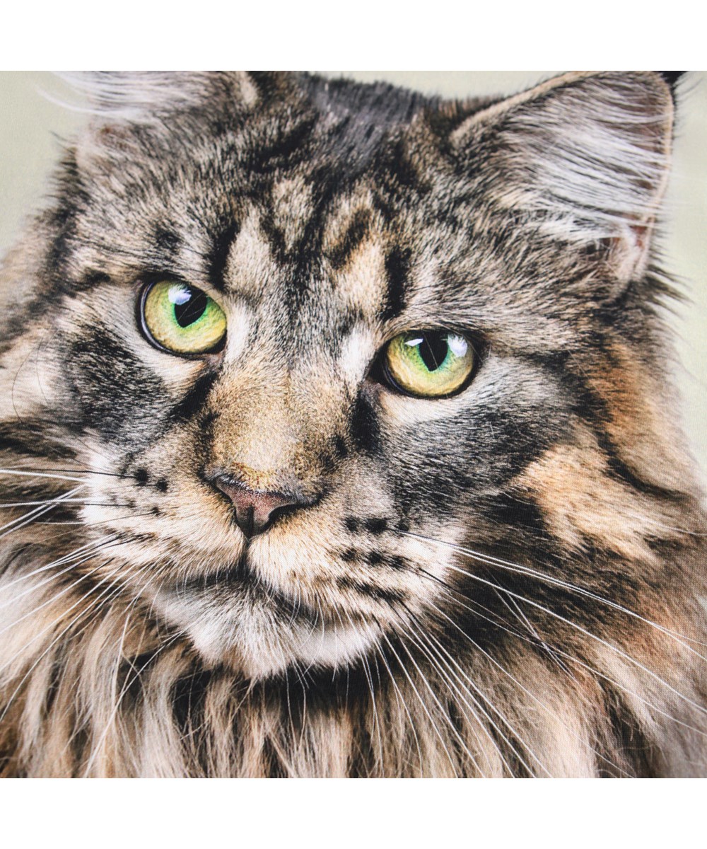 Roxo - Cat - Beige T-shirt för barn i mjuk ekologisk bomull med korta ärmar och en ribbad halsringning.