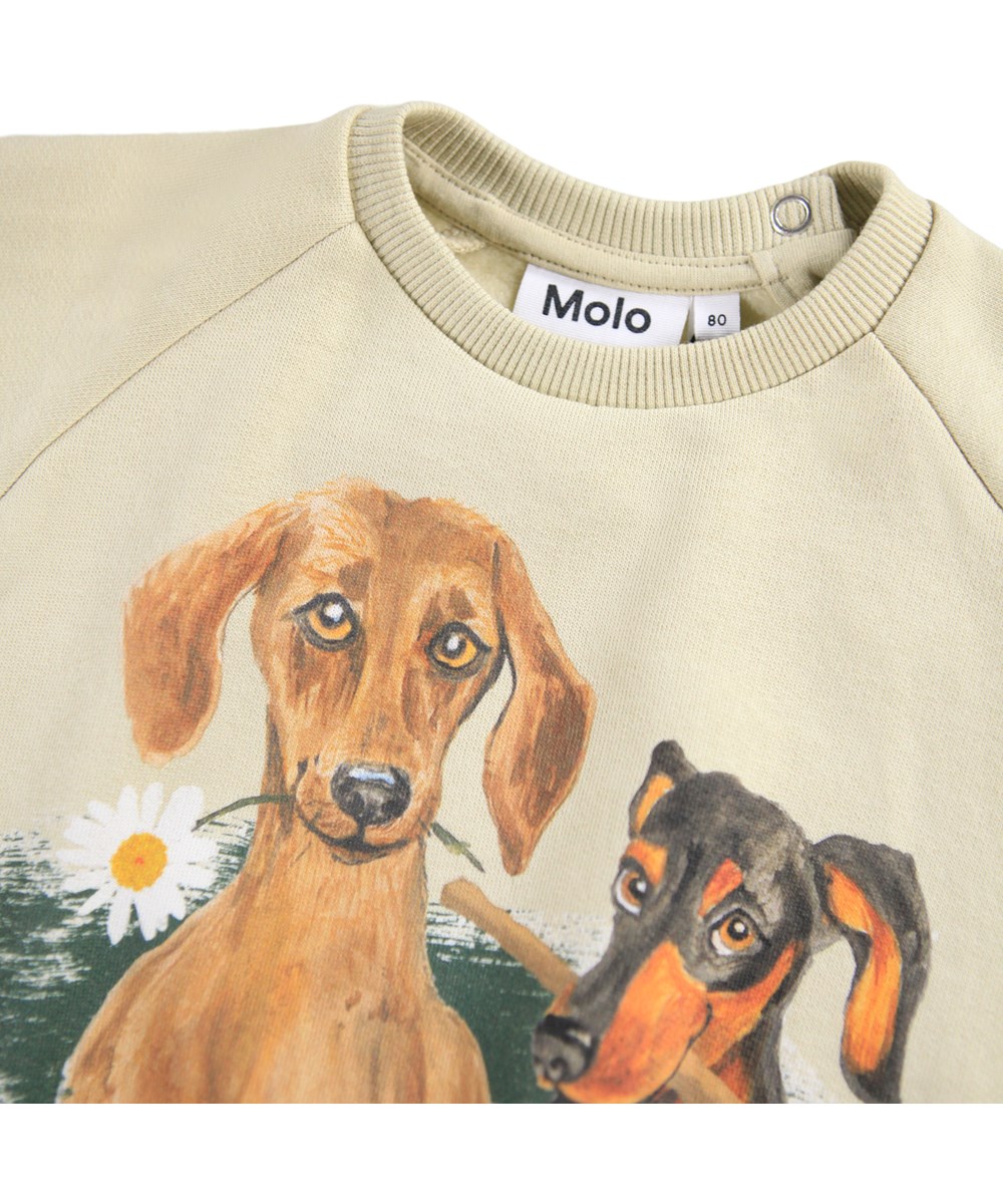 Disc - Doggy Portrait - Beige tröja för de minsta i mjuk ekologisk bomull med en hund på framsidan.