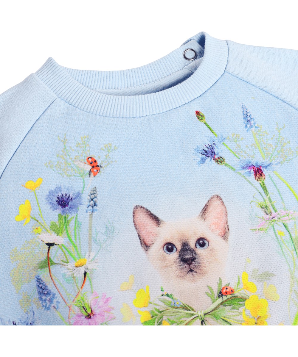 Disc - Meadow Kitten - Mjuk, blå sweatshirt för de små i ekologisk bomull med kattmotiv