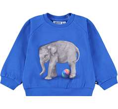 Disc Sweaters