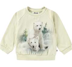 Disc Sweaters