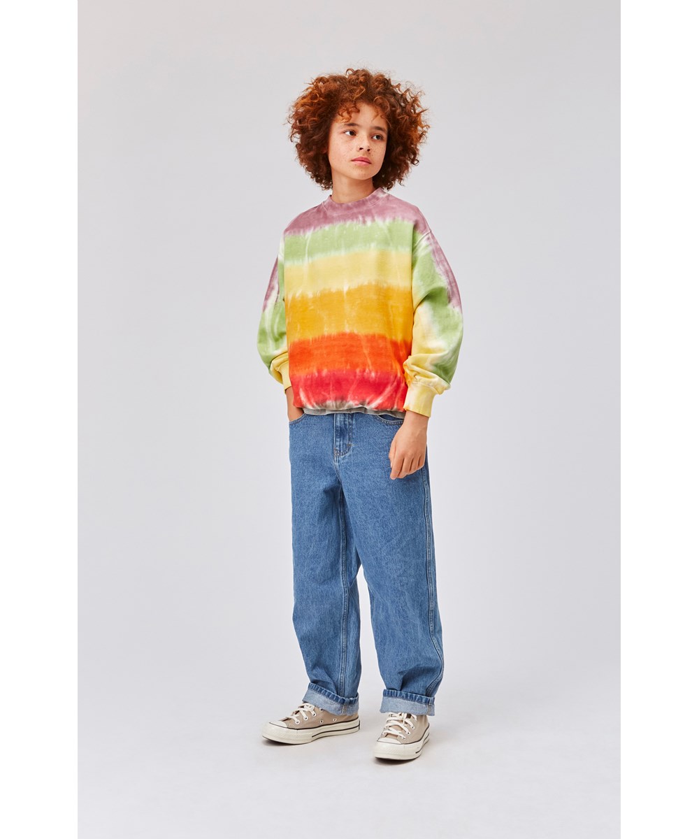 Monti - Colour Stripes - Unisex sweatshirt med färgade ränder.