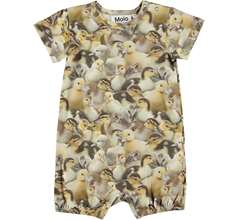 From Babysuits
