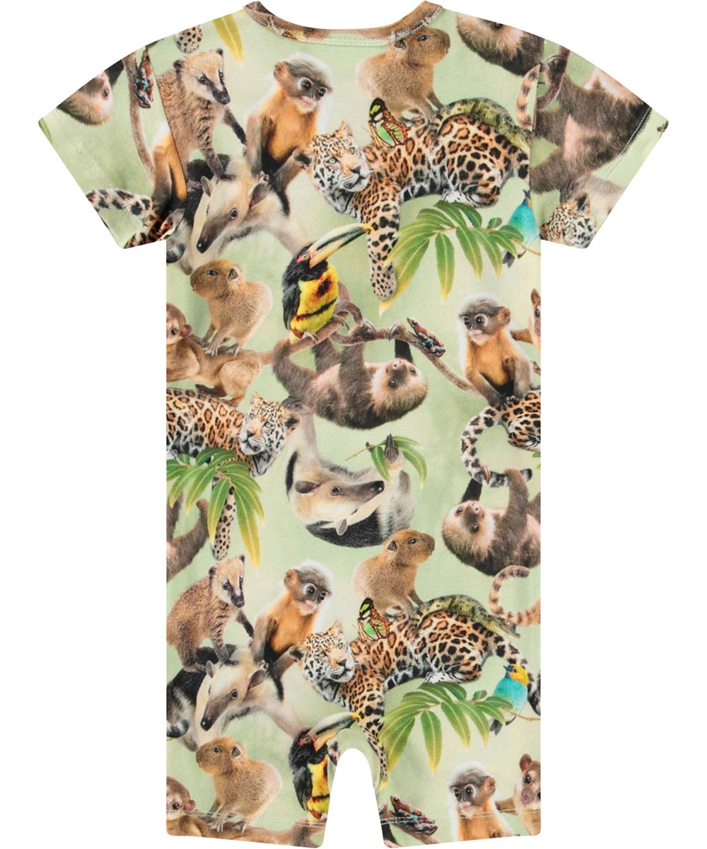 Finn - Jungle Cubs - Heldragt med korte ærmer og ben i økologisk til baby. Dragten har print af dyreunger i junglen.