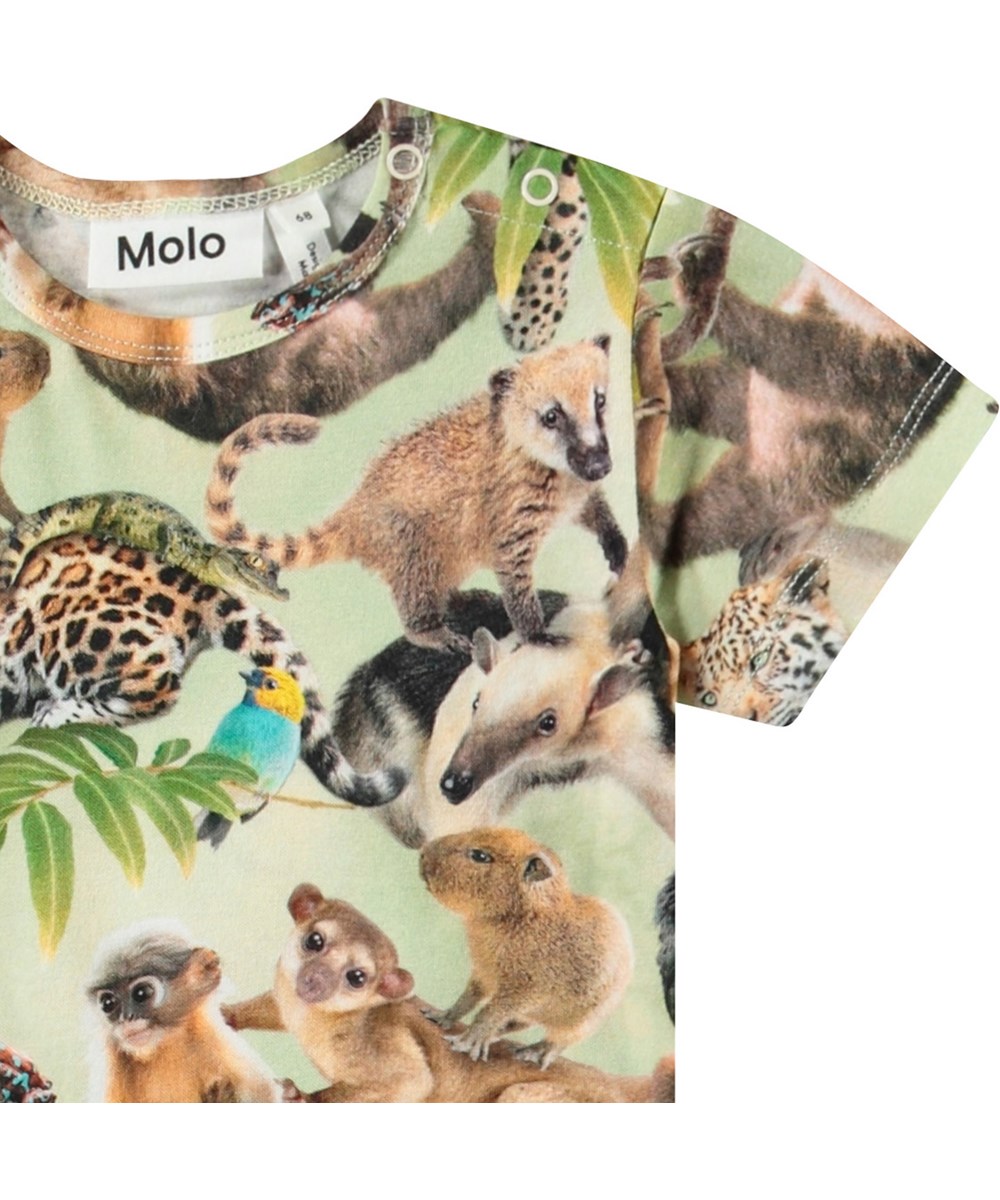 Finn - Jungle Cubs - Heldragt med korte ærmer og ben i økologisk til baby. Dragten har print af dyreunger i junglen.