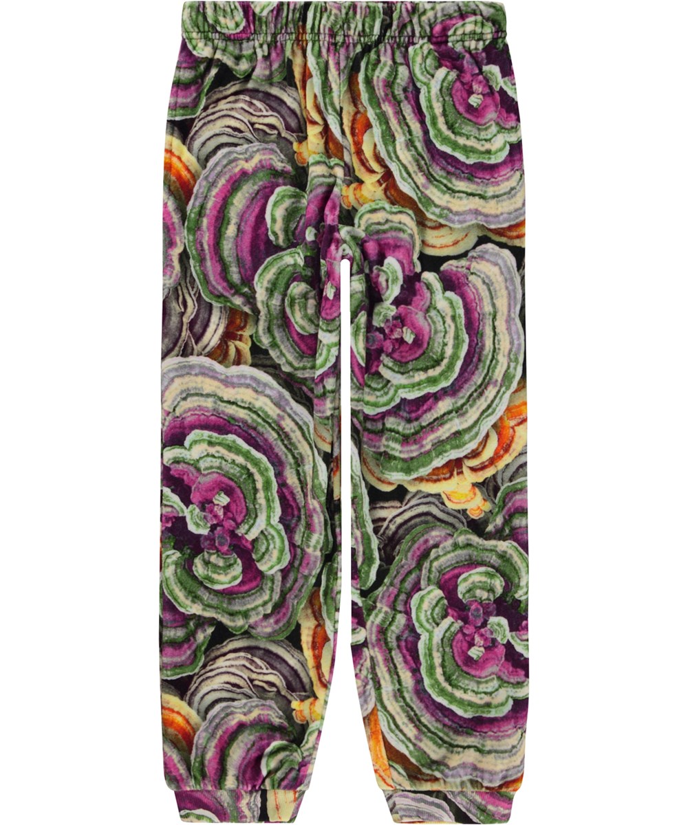 Alfi - Wood Fungi - Veelkleurig joggingbroek in fluweel met een paddenstoelen print