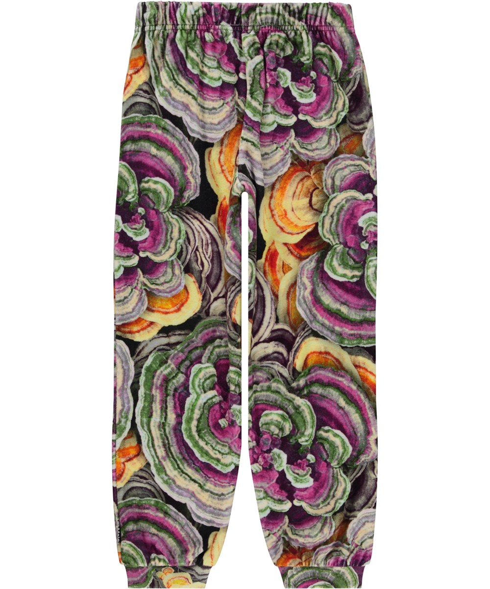 Alfi - Wood Fungi - Veelkleurig joggingbroek in fluweel met een paddenstoelen print