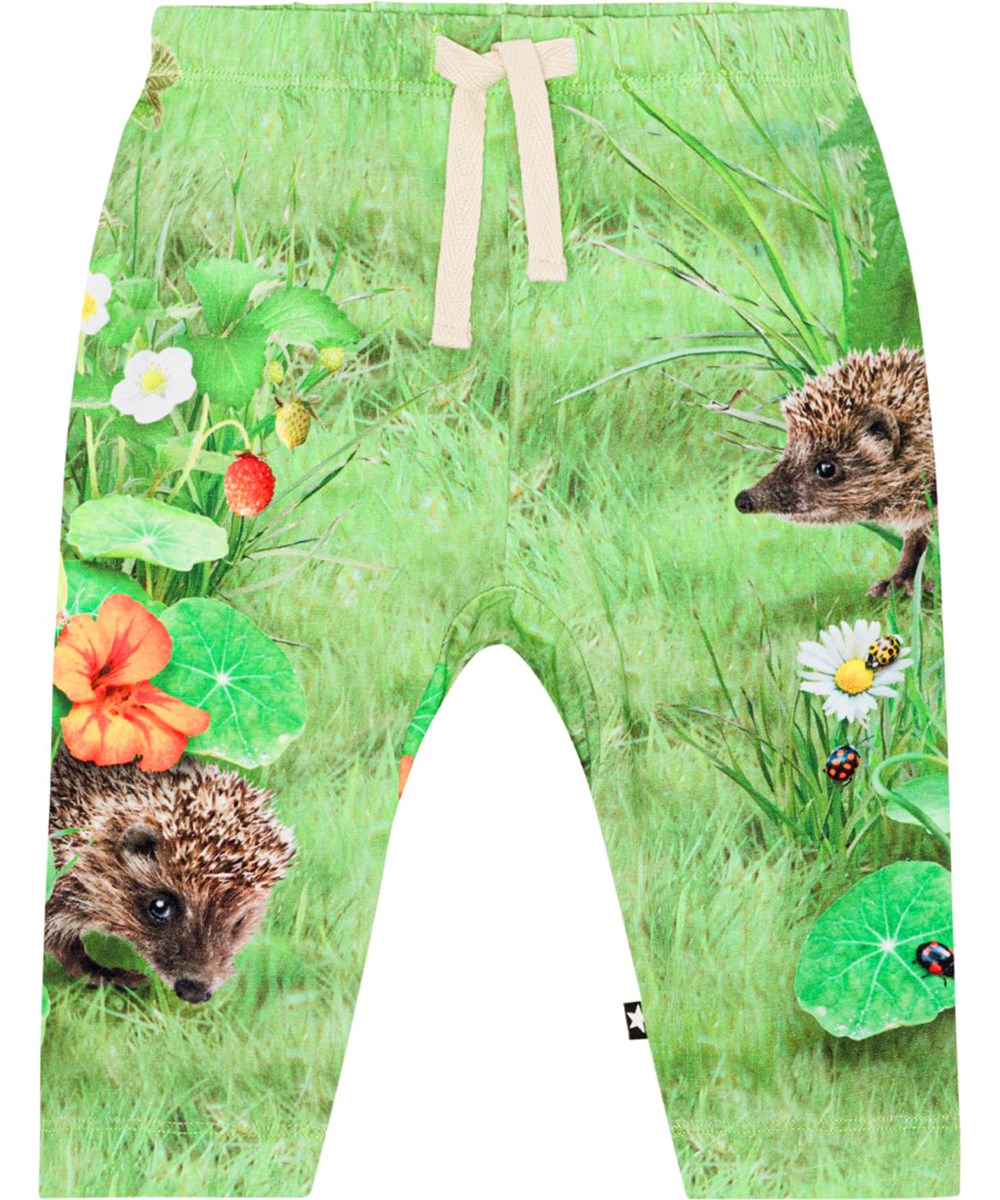 Sabb - Garden Nature - Groene broek van bioloigsch katoen met een print van gras, egels en insecten