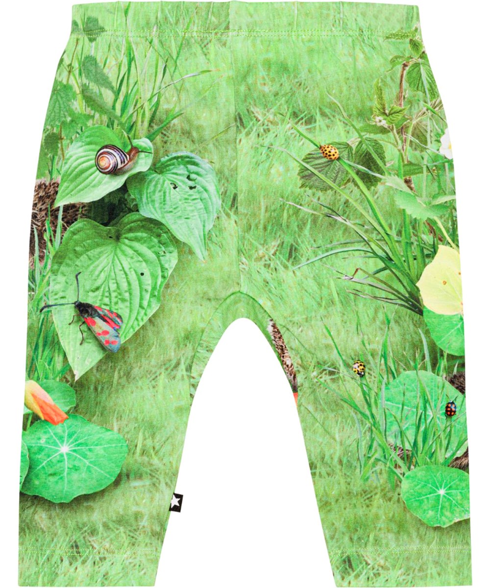 Sabb - Garden Nature - Groene broek van bioloigsch katoen met een print van gras, egels en insecten