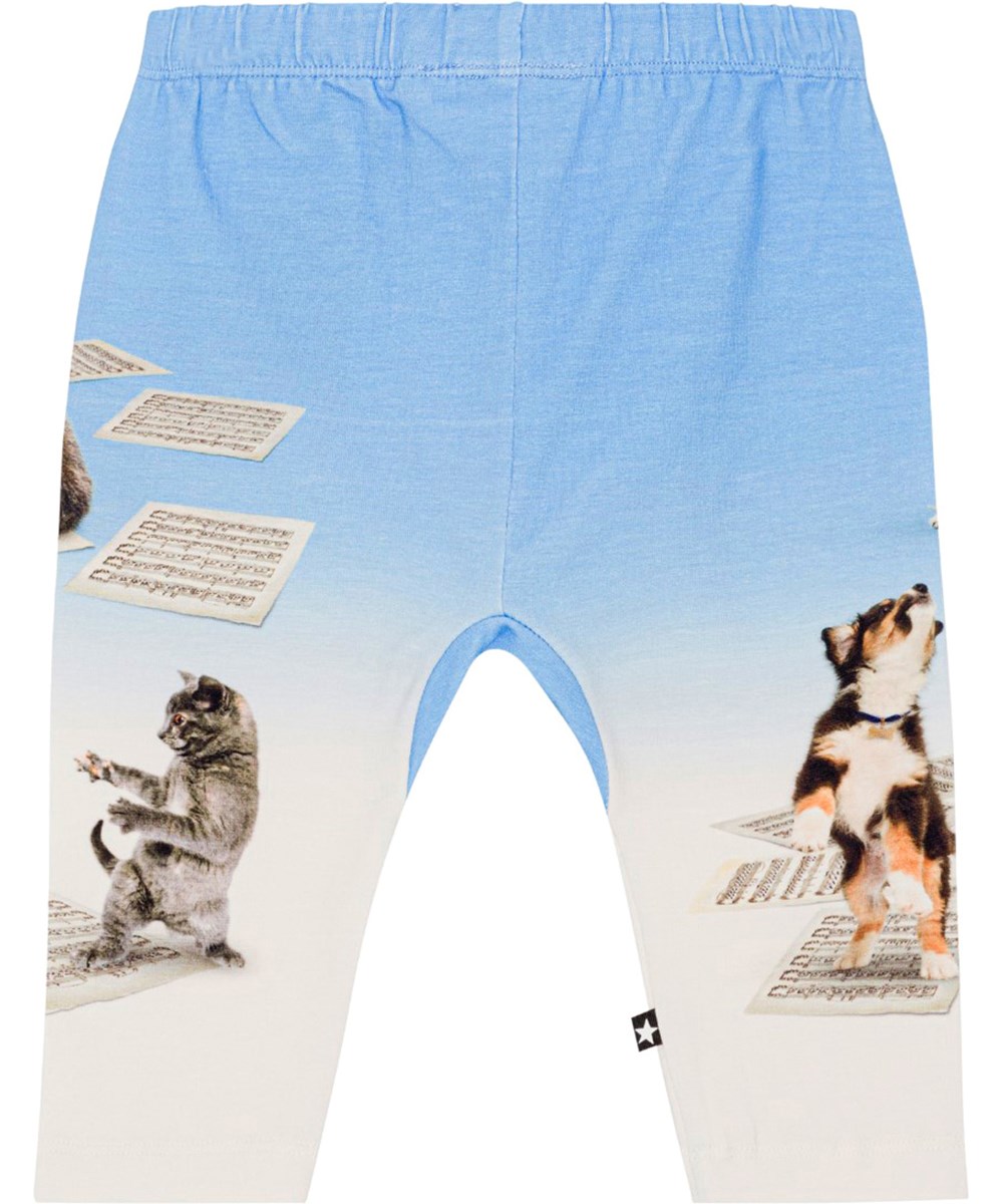 Sabb - Love Music Pant - Blauwe en witte broek van biologisch katoen met print van dansende honden en poezen op bladmuziek