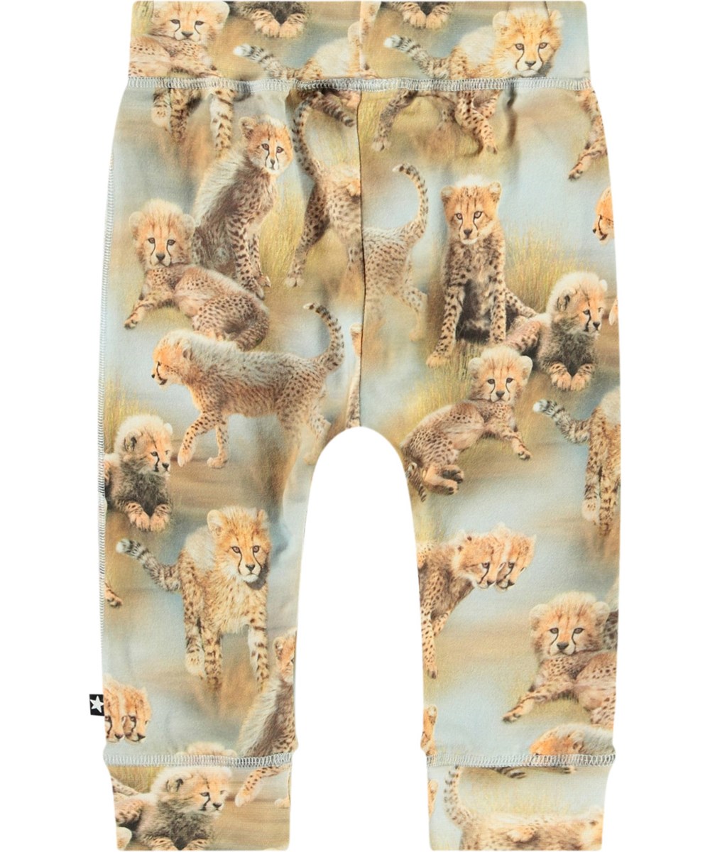 Sammy - Cheetah Cubs - Babybroek van biologisch katoen met cheetaprint.