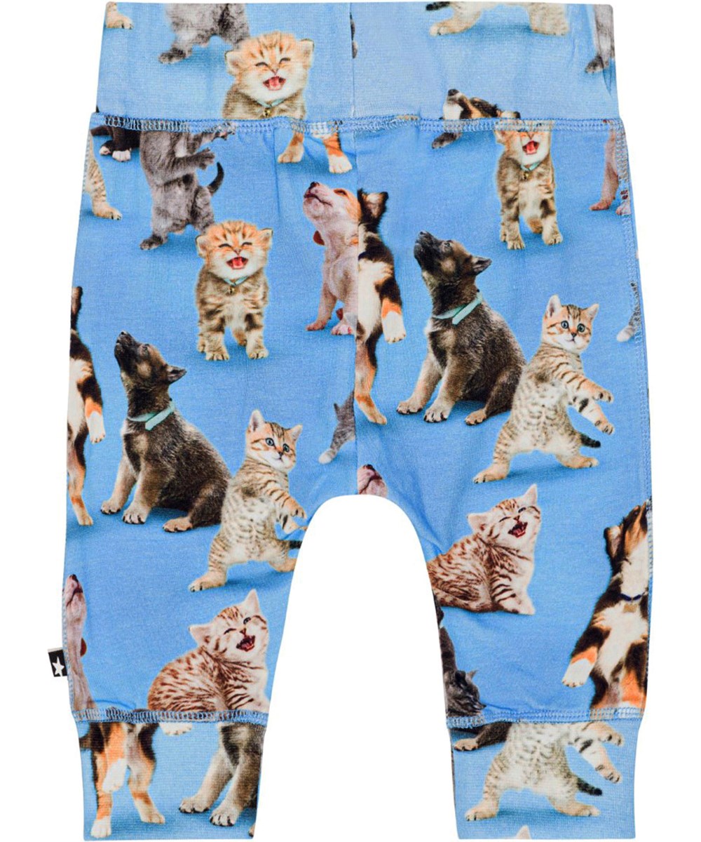 Sammy - Joy Of Music - Blauwe babybroek van biologisch katoenen jersey met een print van schattige hondjes en poesjes