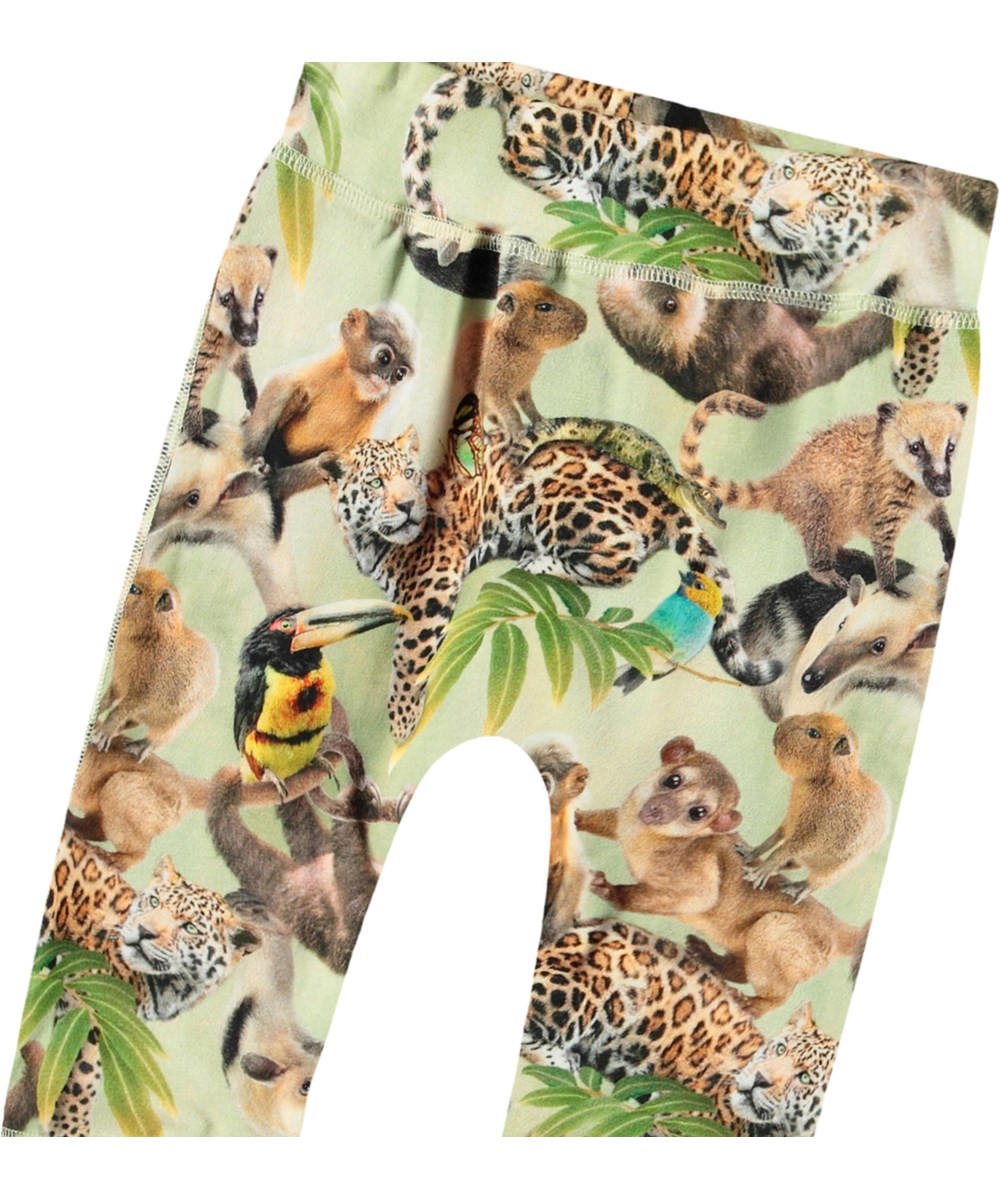 Sammy - Jungle Cubs - Babybroek van biologisch katoen met print van dieren uit de jungle.