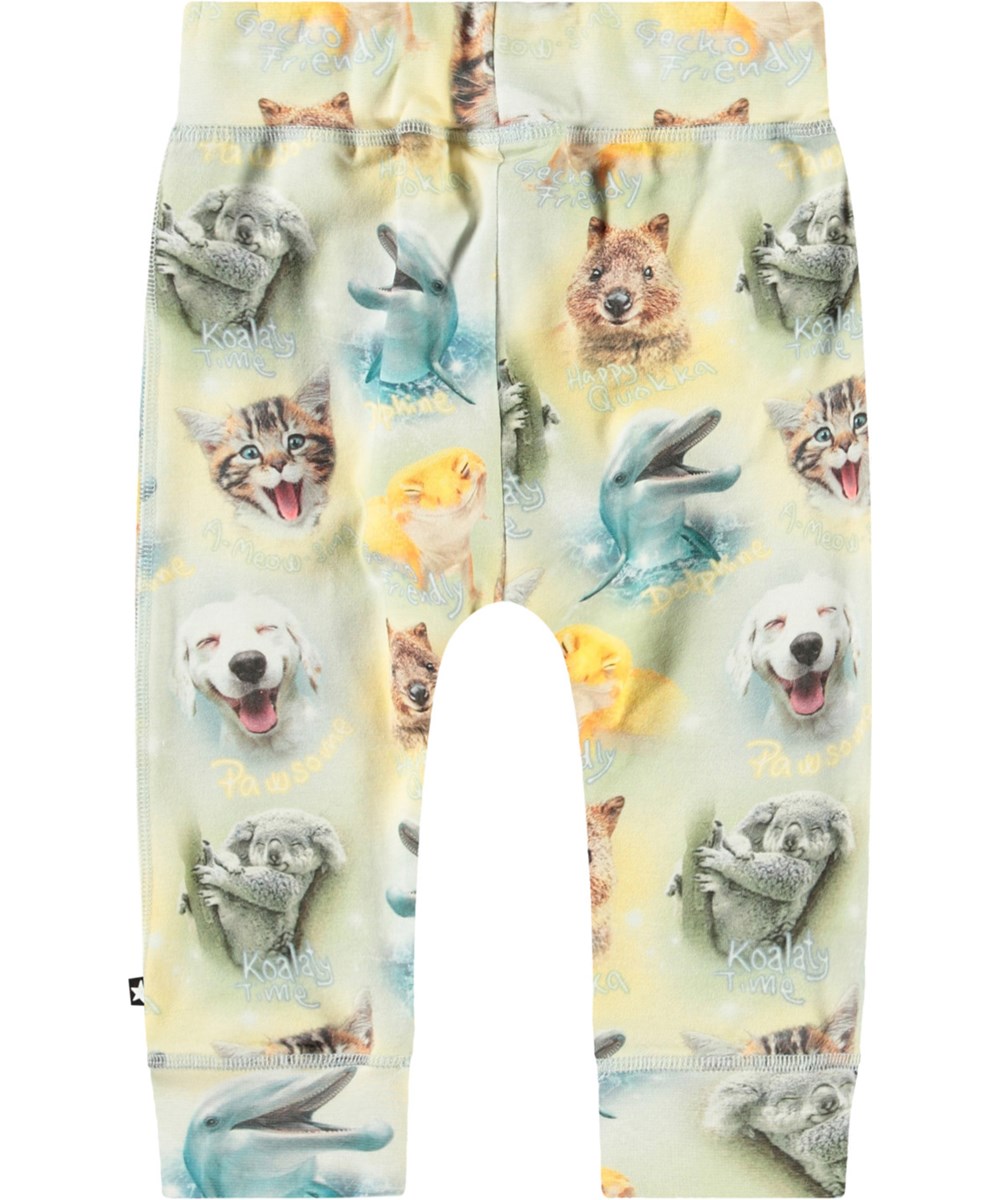 Sammy - Smilng Cubs - Babybroek van biologisch katoen met een print van lachende dieren.