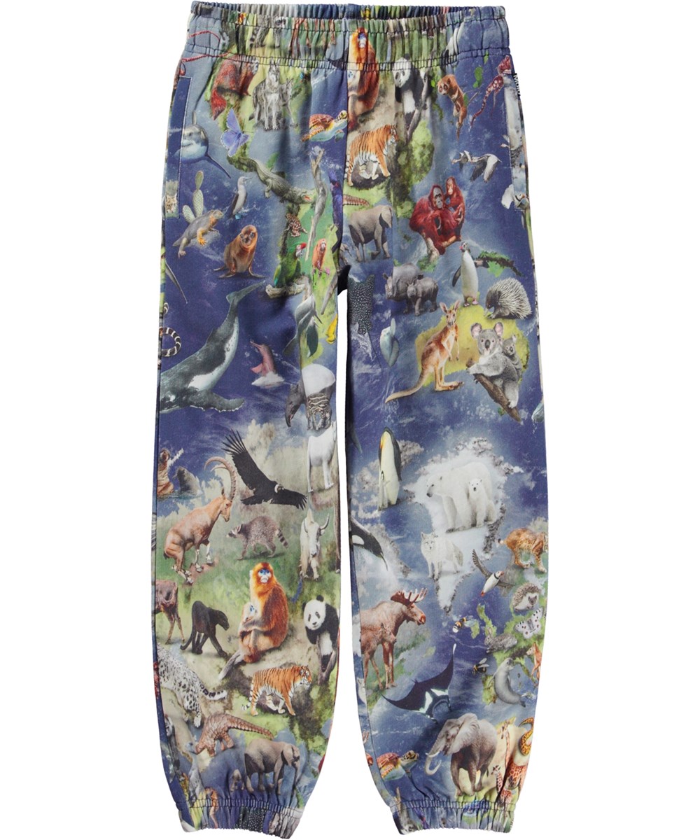 Adan - Amazing Earth - Blå unisex sweatpants med print af dyr