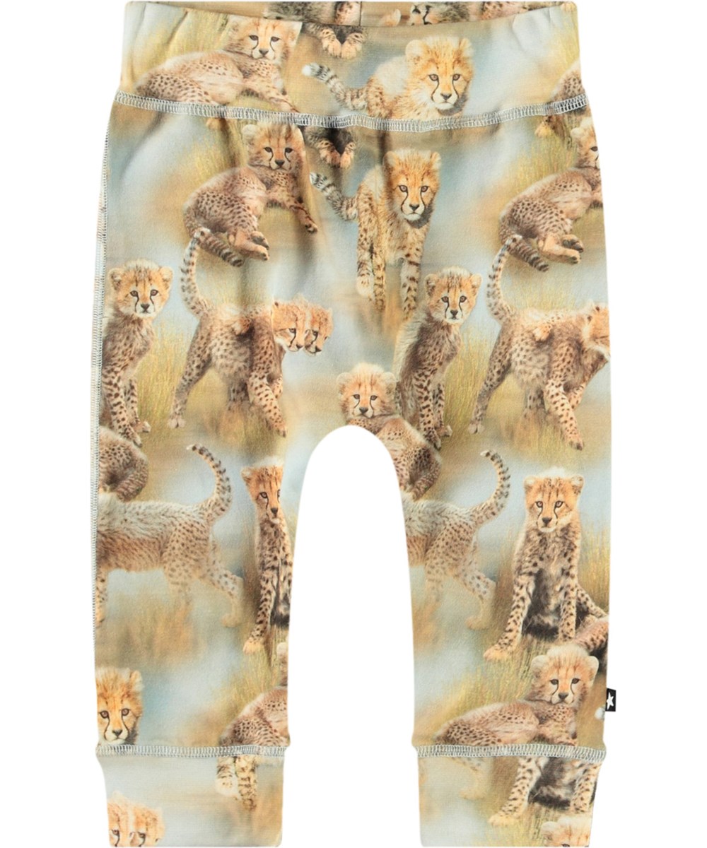 Sammy - Cheetah Cubs - Babybukser i økologisk bomuld med gepardprint
