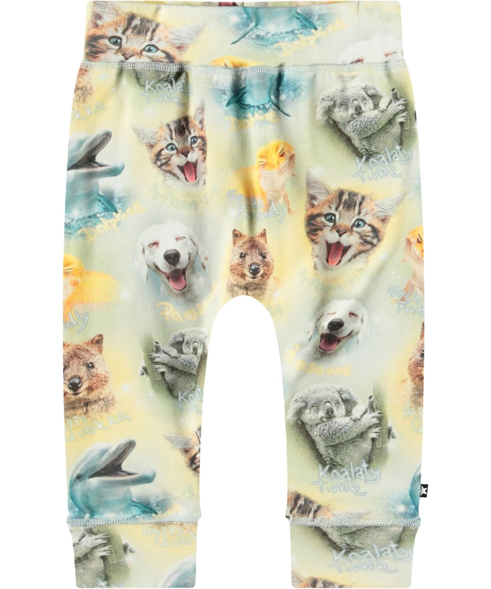 Sammy - Smilng Cubs - Babybukser i økologisk bomuld med print af smilende dyr.