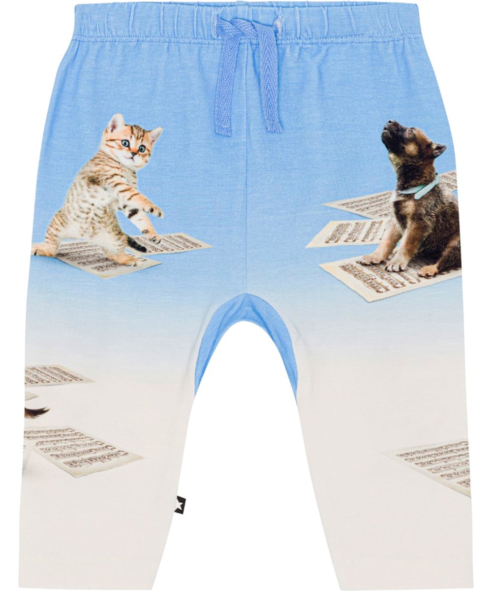 Sabb - Love Music Pant - Blau-weiße Hose aus Öko-Baumwolle mit einem Platzierungsdruck der tanzenden Hunde und Katzen auf ihrem Notenpapier
