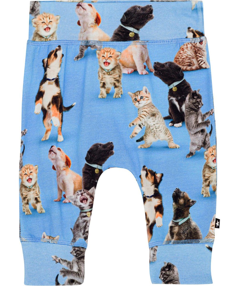 Sammy - Joy Of Music - Blaue Babyhose aus Öko-Baumwolljersey mit Allover-Print aus süßen Hunden und Kätzchen