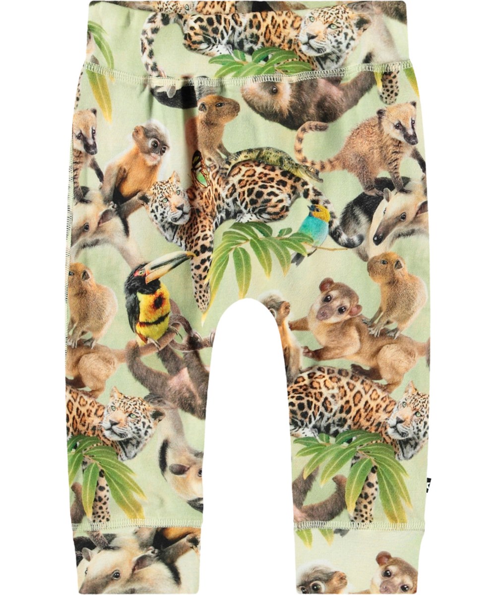 Sammy - Jungle Cubs - Babyhose aus Öko-Baumwolle mit Dschungeltier-Print.