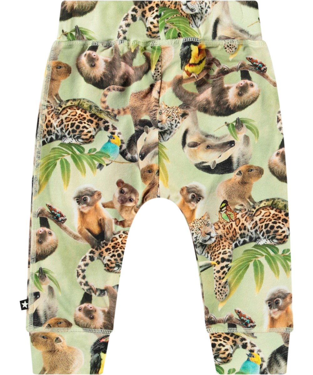 Sammy - Jungle Cubs - Babyhose aus Öko-Baumwolle mit Dschungeltier-Print.