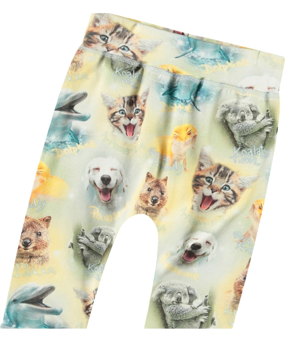 Sammy - Smilng Cubs - Babyhosen aus Öko-Baumwolle mit einem Aufdruck von lächelnden Tieren.