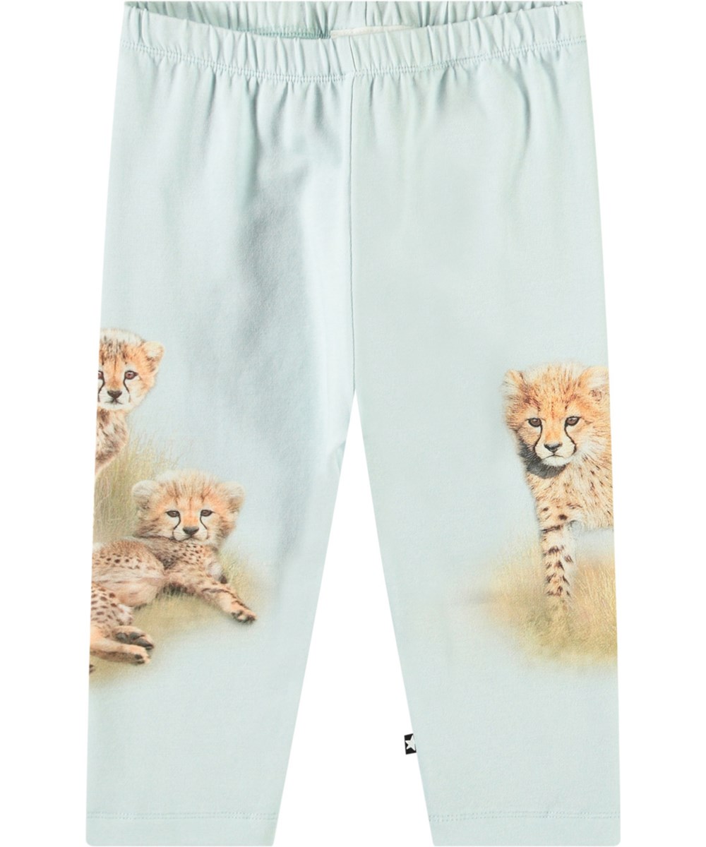 Simway - Cheetas Cute - Hose aus Öko-Baumwoll-Jersey für Babys. Sie hat eine eng anliegende Passform mit elastischem Bund und einem Druck von Gepardenjungen.