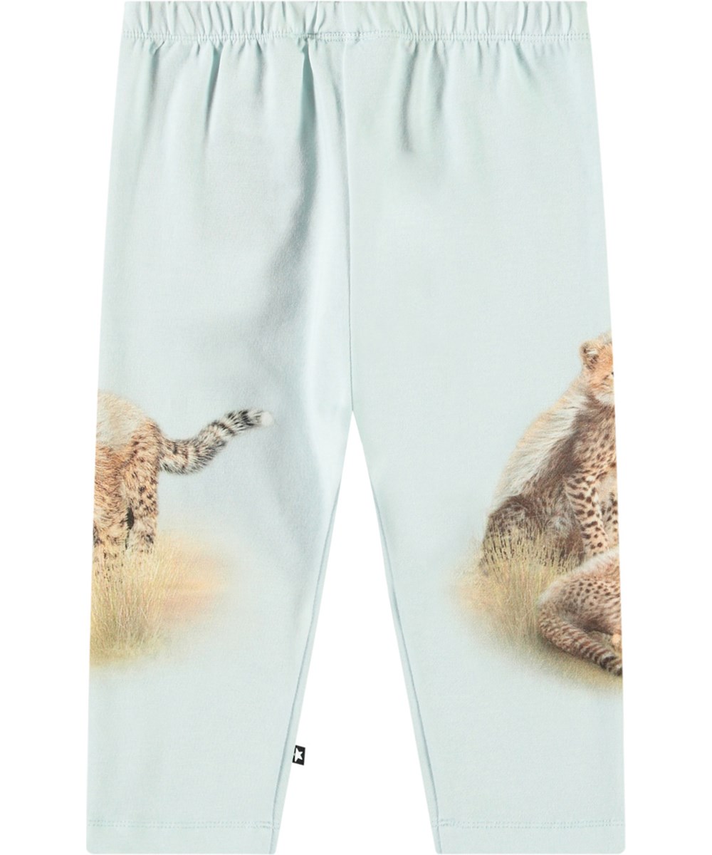 Simway - Cheetas Cute - Hose aus Öko-Baumwoll-Jersey für Babys. Sie hat eine eng anliegende Passform mit elastischem Bund und einem Druck von Gepardenjungen.