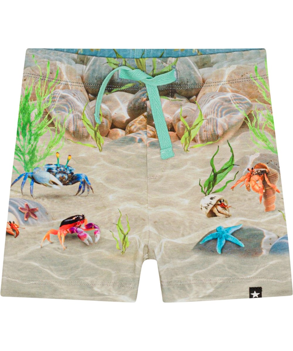 Simroy - Tropic Sea SH - Voor kleine kinderen een short van zacht biologisch katoenen jersey met een print van de bodem van de oceaan