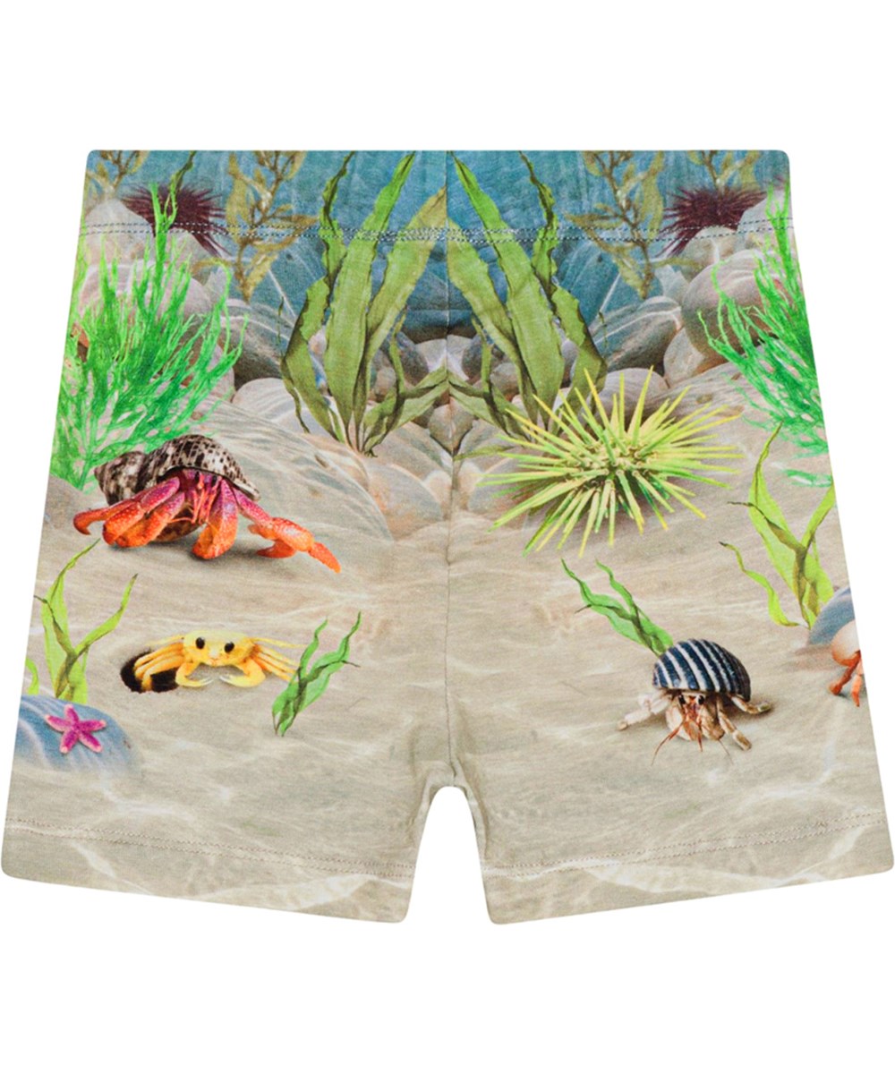 Simroy - Tropic Sea SH - Voor kleine kinderen een short van zacht biologisch katoenen jersey met een print van de bodem van de oceaan