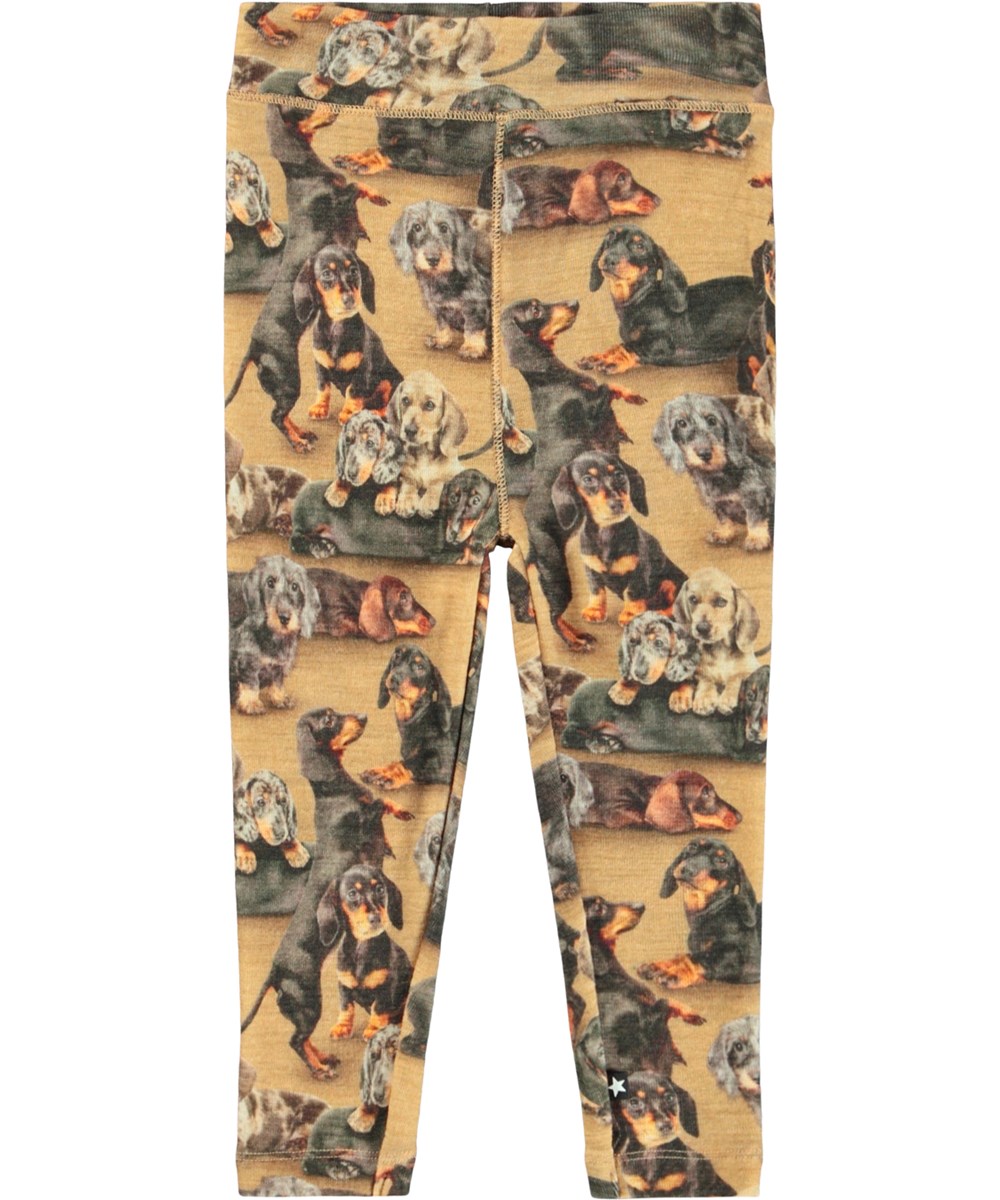 Sting Wool - Dachshunds - Brown leggings for the little ones made of merino wool with a dachshund print