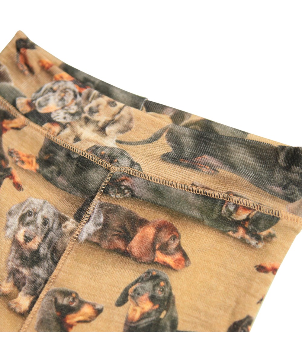 Sting Wool - Dachshunds - Brown leggings for the little ones made of merino wool with a dachshund print