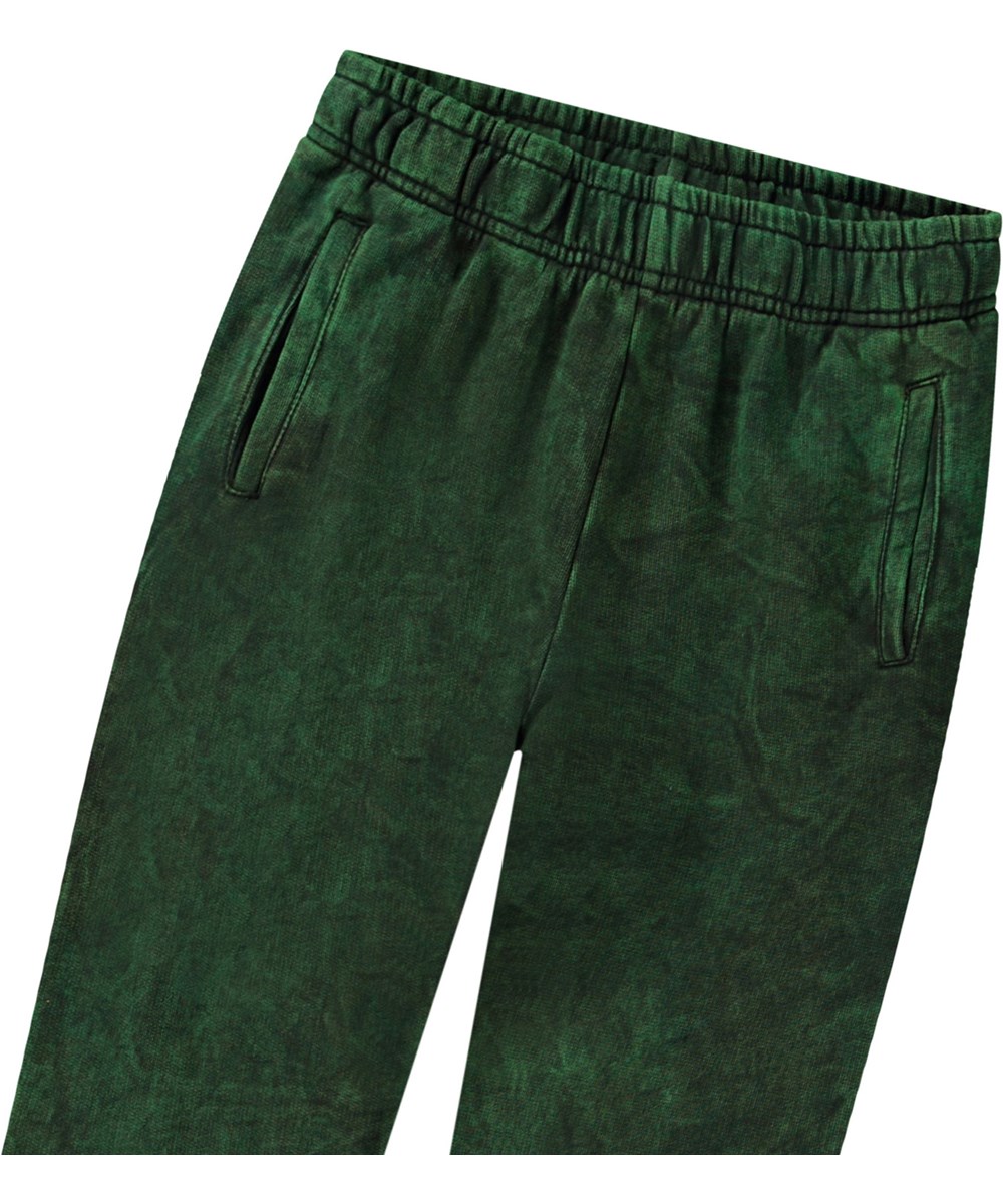 Allen - Amazonas Dye - Green sweatpants in organic cotton for children.