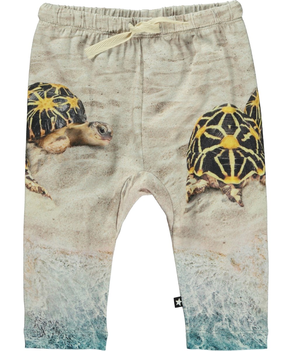 Sabb - Beach Turtles - Baby trousers with a turtle print
