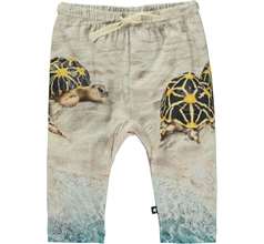 Sabb Pants