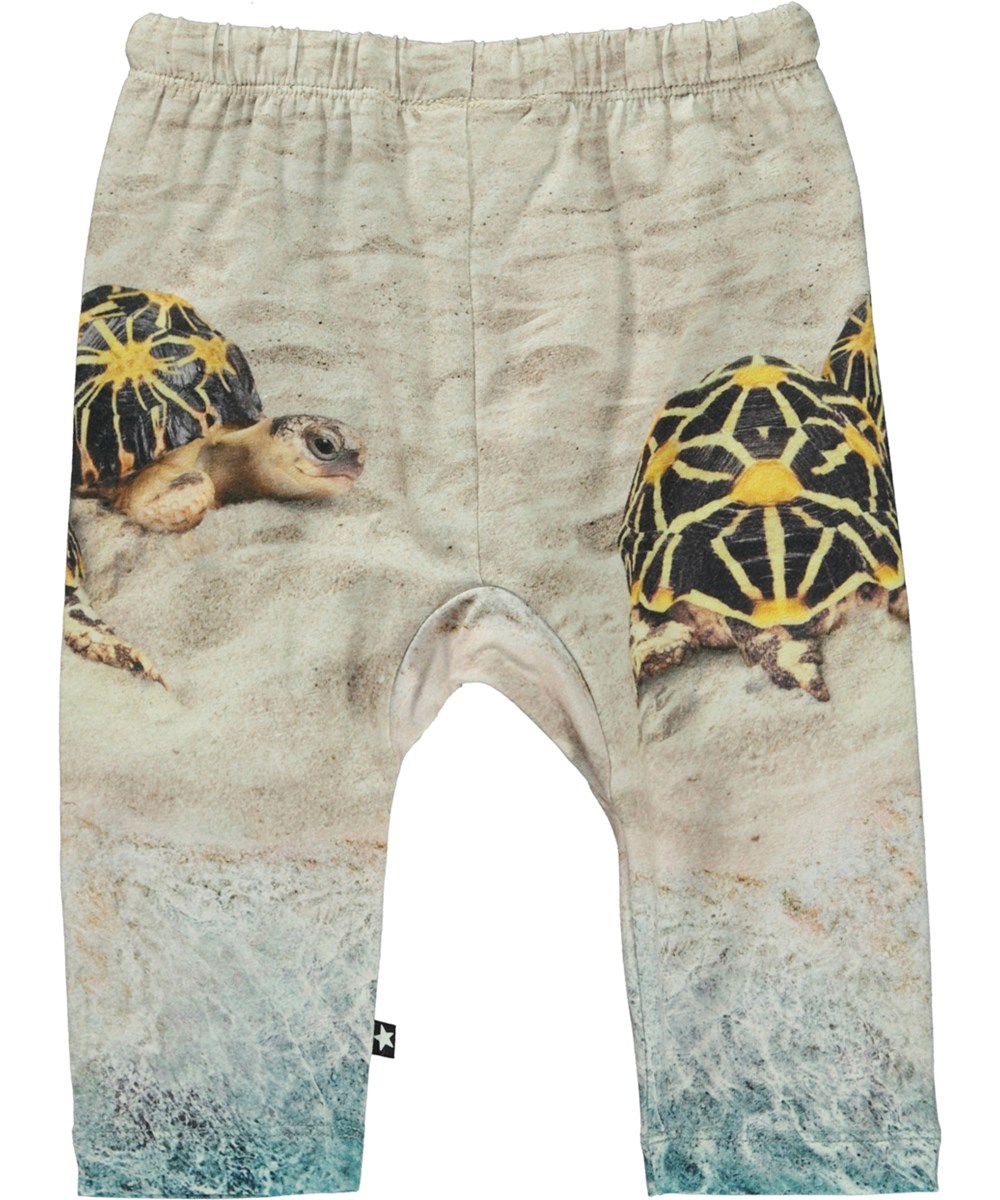 Sabb - Beach Turtles - Baby trousers with a turtle print