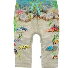 Sabb Pants