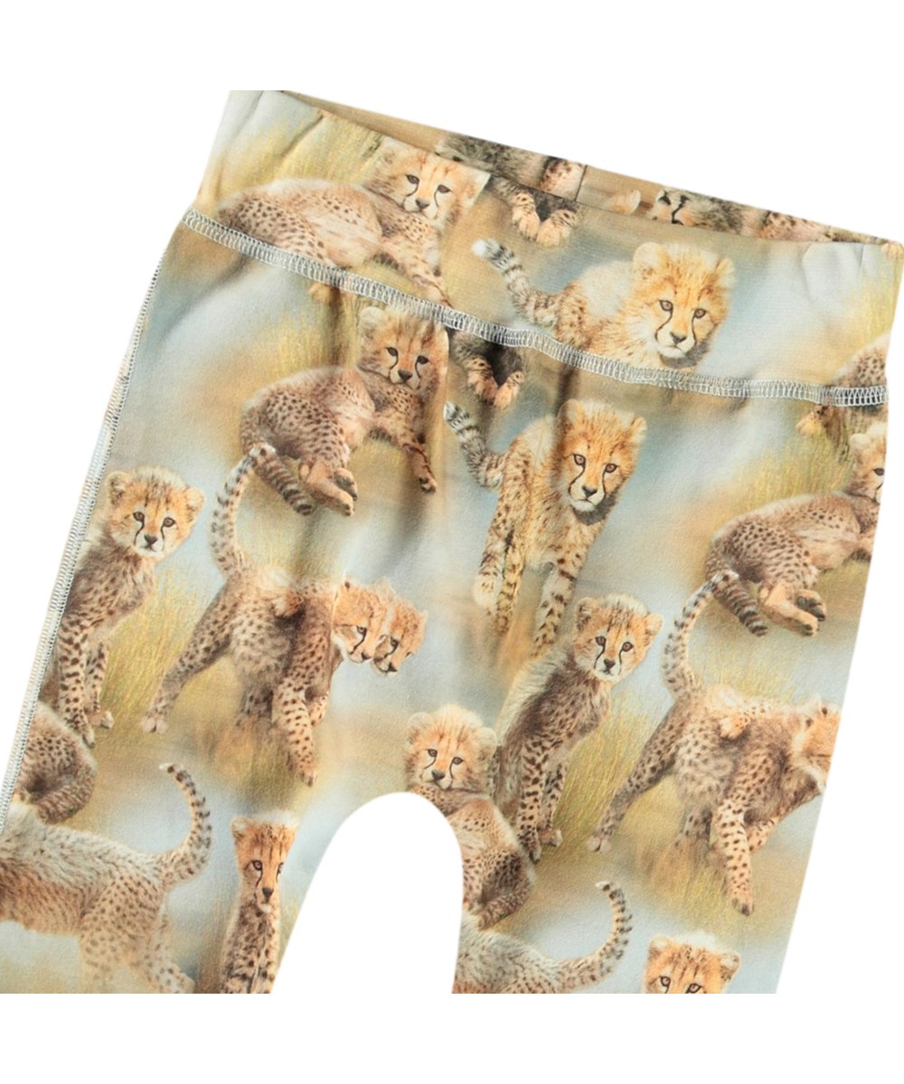 Sammy - Cheetah Cubs - Baby pants in organic cotton with cheetah print