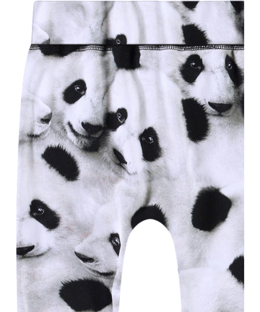 Sammy - Giant Panda - Baby pants in organic cotton with panda print