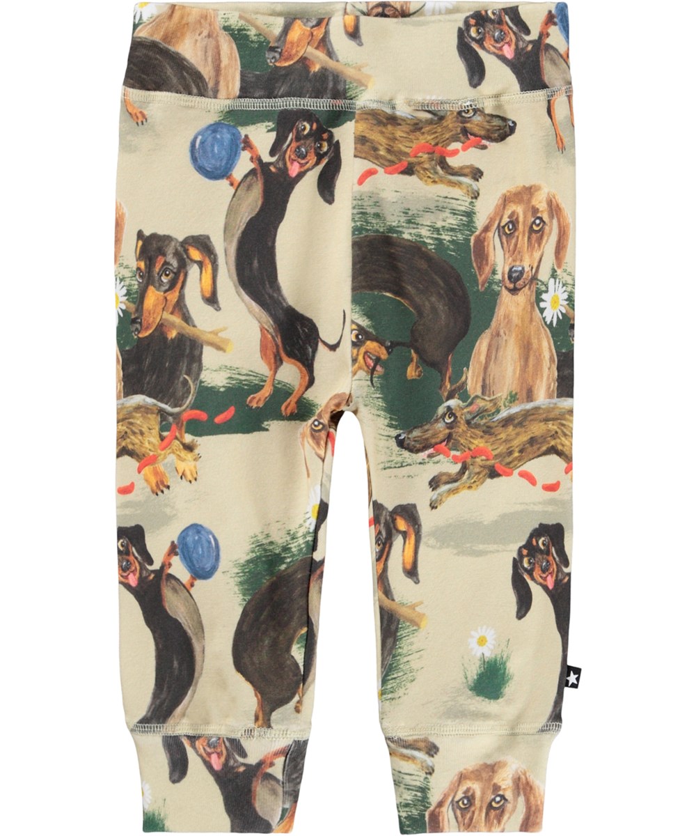 Sammy - Painted Dogs - Beige pants for the little ones made of soft organic cotton jersey with a print of playful dogs.