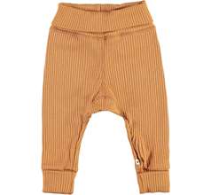 San Pants