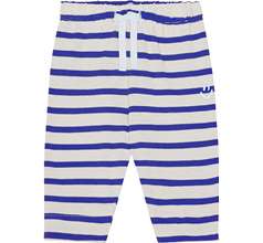 Saxon Pants