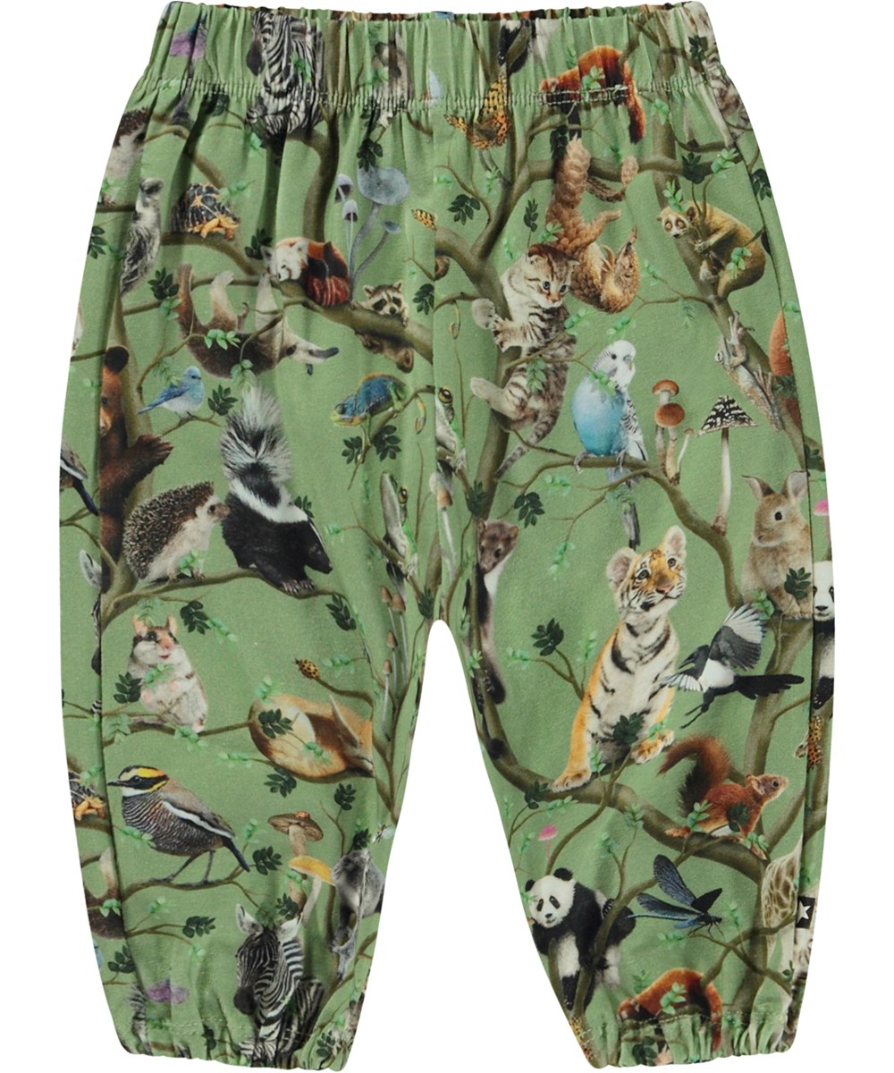 Serene - Living Tree - Green organic baby trousers with animal print 