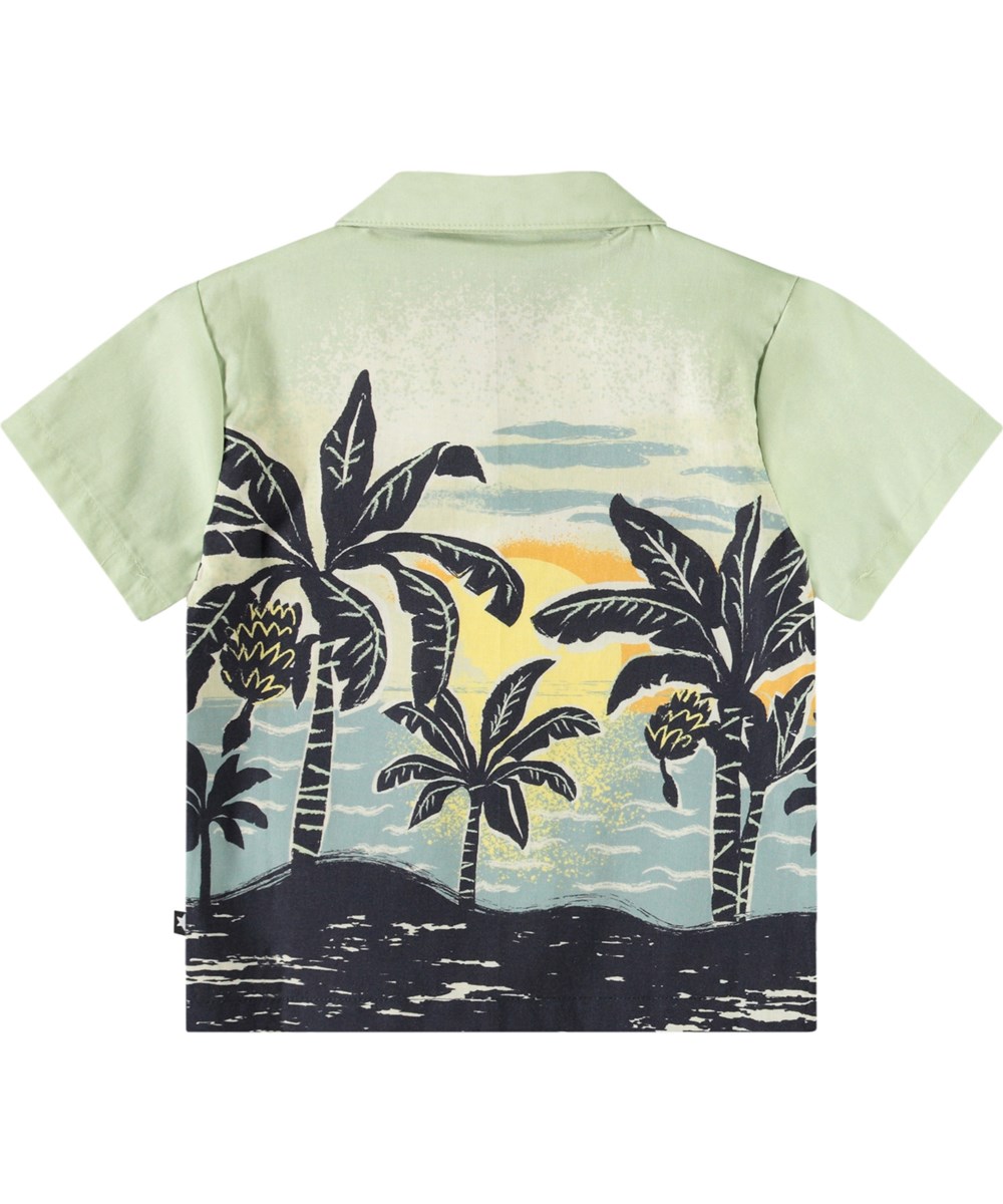 Eyou - Babynanas Palm - Short-sleeved shirt in organic cotton for a baby. The shirt is light green with a print of palm trees and a sunset.