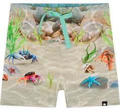 Simroy Shorts