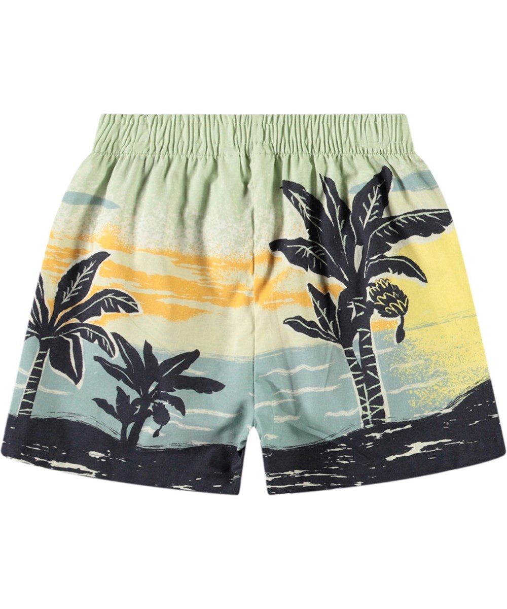 Solar - Palm Babynanas - Shorts with a lovely palm print in organic cotton for baby.